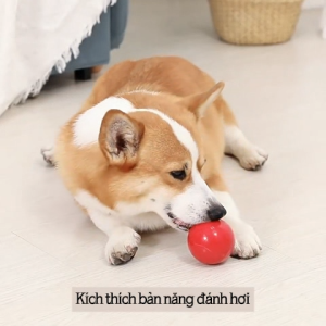 Đồ chơi bóng cao su dẻo rơi hạt cho chó mèo thú cưng - Đen Ta pet shop