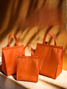 Thickened Aluminum Foil Insulated Bag Handheld Takeout Bag for Steak Frozen Meat Cake Cooling Handbag Macaron Color American Style