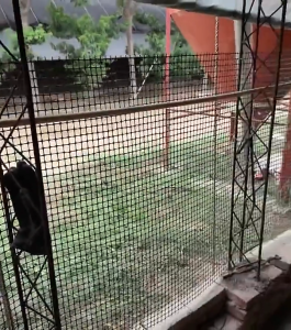 Outdoor net orchard garden poultry breeding protection net chicken net plastic fence net