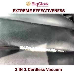 BiqGlow 【XTREME EFFECTIVENESS】 Cordless Car Vacuum Dust Mite DAIHEART Series Powerful Brushless Motor UV Light CV-101
