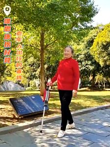 Portable Folding Walking Stick Chair for Elderly Multifunctional Trekking Stick Stool for Outdoor Activities