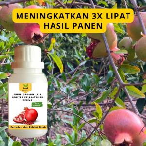 Pupuk Delima Cepat Berbuah / Pupuk Pelebat Buah Delima / Pupuk Booster Delima Cair