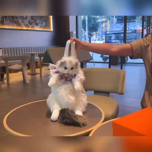 ผู้มีอิทธิพล สไตล์ใหม่จําลองสัตว์ตุ๊กตาแมวกระเป๋าเป้สะพายหลังอินเทรนด์กระเป๋าเป้สะพายหลังความจุขนาดใหญ่ตุ๊กตาตุ๊กตาของแท้ผลิตภ