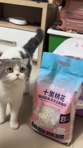 Petclear ทรายแมวกลิ่นพีชบลอสซั่ม ทรายแมวเต้าหู้ 2.5กก