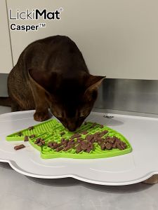 Lickimat Australia Research Slow Feeding Pad Casper Boredom Relief Aid Digestion Prevent Choking Cat Dog Toys