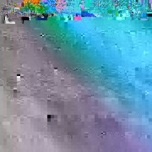 Máy tạo ozone khử mùi diệt khuẩn thanh lọc không khí