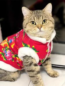 Dog Clothes Big Flower New Year Cotton Padded Clothes Teddy Bichon Pomeranian Cat Small Size Dogs Autumn and Winter Clothes Thickened Warm