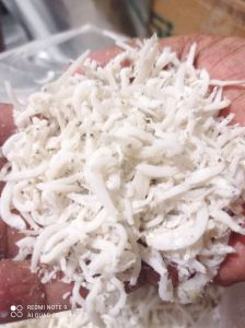 teri nasi 250 g - murah