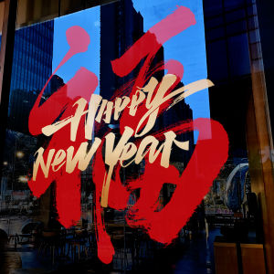 New Year Decorations Window Flowers Horse Year Static Cling Spring Festival Luck Character Shop Window Glass Stickers