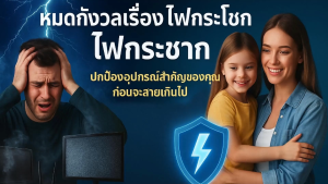 โฮมแพด ( HoPAD ) 1 Phase  (ติดตั้งตัวเดียว ป้องกันทั้งบ้าน) แถมฟรีชุดติดตั้ง+Surge Plug   PP4M
