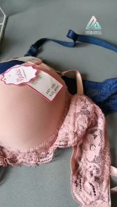 Bra Wanita Xinshini 3095 Kait 2 Busa Tebal Plus Kawat Size 38-42