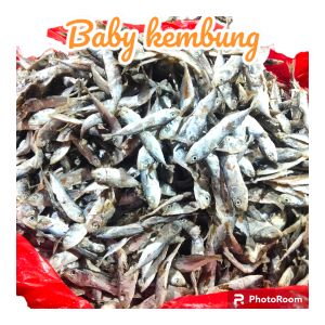 IKAN ASIN BABY KEMBUNG REBUS 1 KG