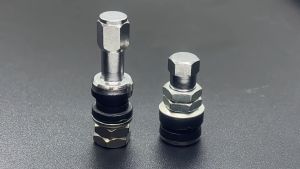 Motorcycle Tire Valve Stainless - 2pcs per Order