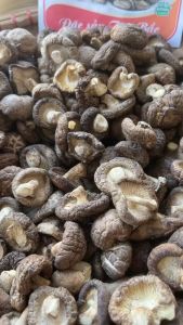 Nấm hương cúc đặc sản Tây Bắc hàng loại 1