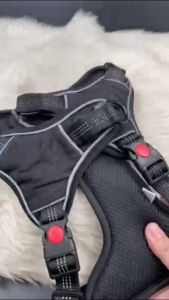 Pet Dog Harness No Pull Reflective Adjustable Nylon Harnesses Padded Dog Leash Reflective Dog Harness for Small Dog Large Dog