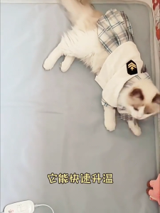 HATELI Cat Heating Pad Waterproof Pet Heating Pad for Cats Dog Indoor 8 Adjustable Temperature Cat Warming Bed Mat with Timer Indoor Heated Bed with Chew Resistant Cord Power-Off Protection