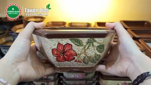 Pot Keramik Bonsai Segi Enam: Desain & Fungsi