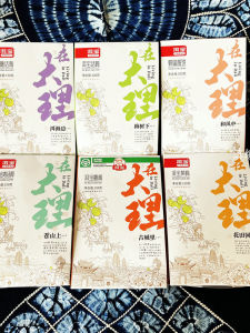 Dali Specialty Sour Snacks Bai Nationality Preserved Fruit Erbao Plum Green Plum Carved Plum Yellow Plum Brown Sugar Plum Gift