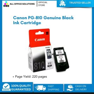 Canon PG-810 Black Ink Cartridge: Compatible with Canon Printer IP 2770 & More