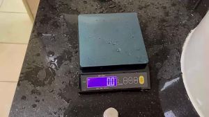 Waterproof Electronic Kitchen Scale USB Charging LCD Home Food Snack Digital Scale Stainless Steel Measuring Weighing Tool