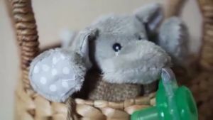 Nookums Paci-Plushies Frekles Fox Shakies / Dot Bayi / Pacifier / Dot Bayi Boneka / Empeng Bayi