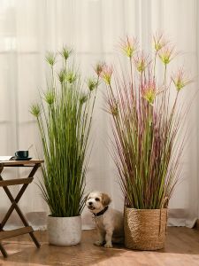 Đồ Trang Trí Cây Cỏ Mô Phỏng Cỏ Lúa Mì Xanh Trong Nhà Phòng Khách Văn Phòng Bàn Trang Trí Trang Trí Bồn Cỏ Đất Đá Mô Phỏng