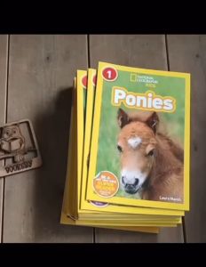 [SG STOCK] (Pre-Reader - 30 Books) National Geographic Kids Age 3-6 Children Science Educational Book Reading English Present