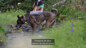 Ruffwear Switchbak™ Lightweight No-Pull Handled Dog Pack Harness - Blue Moon