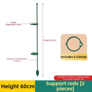 TAOKOU | Anti-fall Support Plant Stake