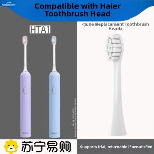 Soft Bristle Electric Toothbrush Head Compatible with Haier HTA1 Specifically Designed for Initial Use in Early June