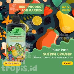 Pupuk Cair Organik Buah 500 mL Super Lebat: Pupuk Organik Cair Obat Perangsang Bunga Pupuk Penyubur Tanaman Pembesar dan Pelebat Buah Pupuk Semprot untuk Segala Jenis Buah Buahan Pupuk Organik Anti Rontok Bunga dan Buah Obat Hama Tanaman Daun