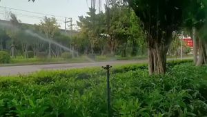 หัวสปริงเกอร์ แบบตีน้ำ ฉีดน้ำระยะไกล เกลียวใน 1 นิ้ว 360°ปรับมุมซ้ายขวา หมุนรอบได้ หัวฉีดสปริงเกลอร์สนามหญ้าอัตโนมัติ 360