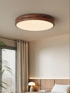 FANCY LAMP CLUB | Retro Bedroom Ceiling Light Remote Control