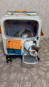 TAS TROLLEY TAS RODA hewan kucing anjing pet stroller 2 in 1 pet trolley case backpack