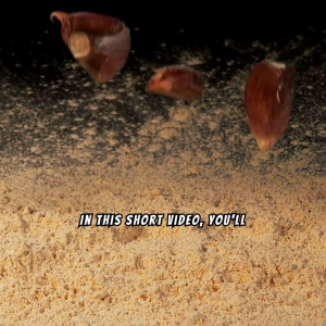 Premium Garlic Powder - India (50g)