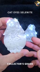 Collectors Grade Cat Eyes Selenite Huat Cai Dragon Turtle Display Statue