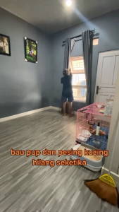 PENGHILANG BAU PESING PIPIS KOTORAN KUCING ANJING PENETRAL BAU KANDANG KUCING PET ODOR REMOVER SPRAY 60ML