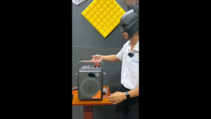 Loa Xách Tay Karaoke N125 MTMax Bass20 Đèn LED Nhiều Màu Kèm 2 Micro Karaoke Kết Nối Bluetooth 5.0 USB AUX Thẻ Nhớ