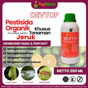 Obat Hama untuk Pohon Jeruk