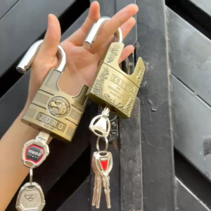 Ổ khóa cửa ZORO 6 phân chống cắtkhóa bấm không cần chìa chống nước chống gỉ.hàng chính hãng