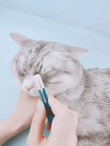 Bàn chải vệ sinh mắt cho Mèo bằng cao su mềm mại (mẫu mới) - Love Pets Shop