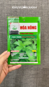 Hạt giống rau É trắng gói 2gr (Húng Trắng thơm Húng Lông Húng Quế lông) Trồng quanh năm