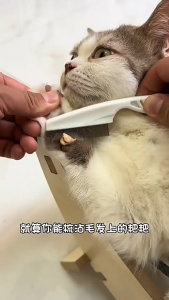 5Pcs Needle Comb Lice Comb Painless Comfortable Hair Health Comb Remove Lice Comb For Human And Pet