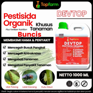 Obat Semprot Hama Buncis / Obat Ulat Untuk Tanaman Buncis / Obat Hama Buncis / Obat Hama Tanaman Kacang Buncis / Obat Hama Ulat Tanaman Buncis / Pestisida Nabati Tanaman Kacang Buncis