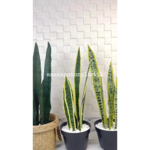 Pohon Artificial Daun Lidah Mertua Latex Variasi Warna Pot Dasar Hitam Cover Anyaman Purun Handle Dekorasi Ruangan Taman Aesthetic