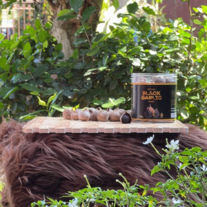 Black Garlic Tunggal Lanang 250 Gram Manika Bawang Hitam Kualitas Premium Pilihan