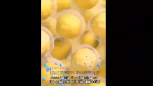 Krim pembakar lemak/Slimming Cream Krim Pelangsing Membentuk Lekukan Yang Indah Lengan Kurus Kaki Kurus Perut Kurus Wajah Kurus(Pelangsing Badan Slimming Gel Krim Lemak Pelangsing Perut Peluntur Lemak Susut Susut Lemak)