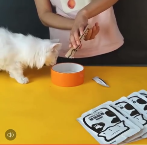 Monbab Pet Goat Milk Yogurt Dog Cat Yogurt 50g