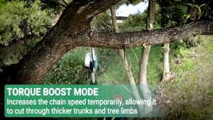 MAKITA เลื่อยโซ่ไร้สาย 199V บาร์ 8 นิ้ว มาพร้อมด้ามต่อยาวสำหรับใช้งานที่สูง 3 เมตร เยี่ยม