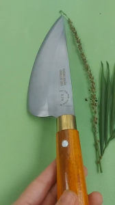 🔪 Dao Nhà Bếp Thép Trắng Chống Gỉ – Thái Lọc Thịt Cá Sắc Bén Đa Năng | KHÁNH NGÂN STORE